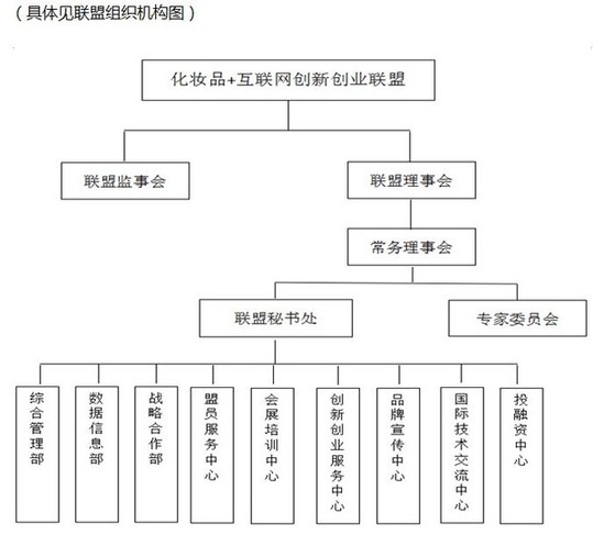 “化妝品+互聯(lián)網(wǎng)創(chuàng)新創(chuàng)業(yè)聯(lián)盟”扛起民族化妝品的大旗